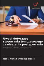 Uwagi dotyczace stosowania tymczasowego zawieszenia postepowania