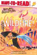 WILDFIRE