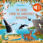 MI GRAN LIBRO DE IMAGENES SONORAS