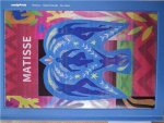 Matisse: a Graphic Novel /anglais