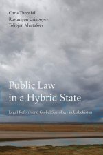 Public Law in a Hybrid State