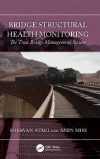 Bridge Structural Health Monitoring