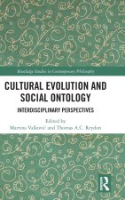 Cultural Evolution and Social Ontology