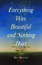 Everything Was Beautiful and Nothing Hurt