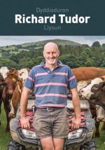 Dyddiaduron Richard Tudor, Llysun