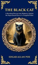 The Black Cat