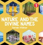 Nature and the Divine Names