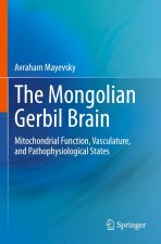The Mongolian Gerbil Brain
