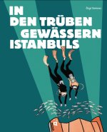 In den trüben Gewässern Istanbuls