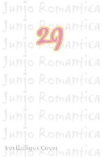Junjo Romantica 29