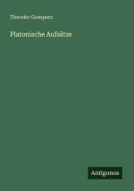 Platonische Aufsätze