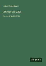 Irrwege der Liebe