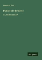 Dahinten in der Heide