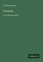 Schicksale