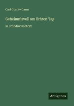Geheimnisvoll am lichten Tag