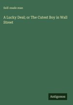A Lucky Deal; or The Cutest Boy in Wall Street