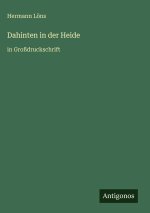 Dahinten in der Heide