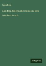 Aus dem Bilderbuche meines Lebens