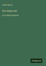 Der Ozean ruft