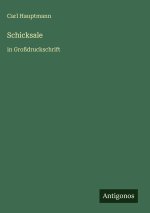 Schicksale
