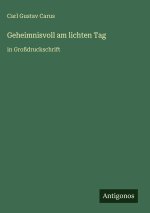 Geheimnisvoll am lichten Tag