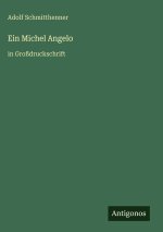Ein Michel Angelo