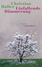 Einfallende Dämmerung