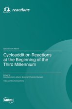 Cycloaddition Reactions at the Beginning of the Third Millennium