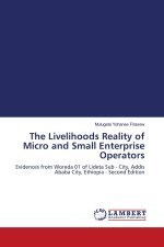The Livelihoods Reality of Micro and Small Enterprise Operators
