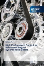 High-Performance Control for Permanent Magnet Synchronous Motors