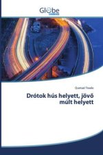 Drótok hús helyett, jöv¿ múlt helyett