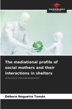The mediational profile of social mothers and their interactions in shelters