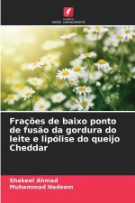Frações de baixo ponto de fusão da gordura do leite e lipólise do queijo Cheddar