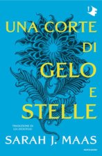 corte di gelo e stelle