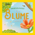 Eine Blume wächst