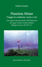 Flaminia Minor. Viaggio tra ambiente, storia e arte. Con regesto documentativo dell’itinerario che segue l’antica strada militare Bologna-Arezzo del 1