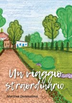 Un viaggio straordinario
