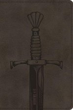 ESV Compact Bible (Trutone, Silver, Sword Design)
