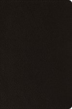ESV Compact Bible (Buffalo Leather, Deep Brown)