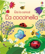 coccinella