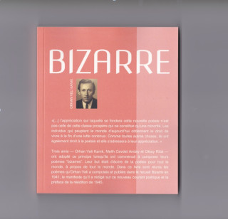 BIZARRE/ GARIP