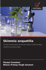 Skimmia anquetilia