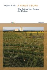 forest is born. The tale of the Bosco del Molino
