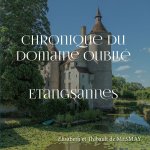 Chronique du domaine oublié Etangsannes