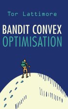 Bandit Convex Optimisation