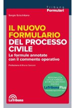 nuovo formulario del processo civile. Le formule annotate con il commento operativo