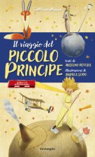 viaggio del Piccolo Principe