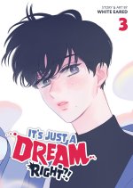 ITS JUST A DREAM RIGHT V03
