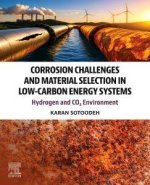 Corrosion Challenges and Material Selection in Low-Carbon Energy Systems: Hydrogen and Co₂ Environment
