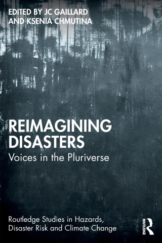 Reimagining Disasters